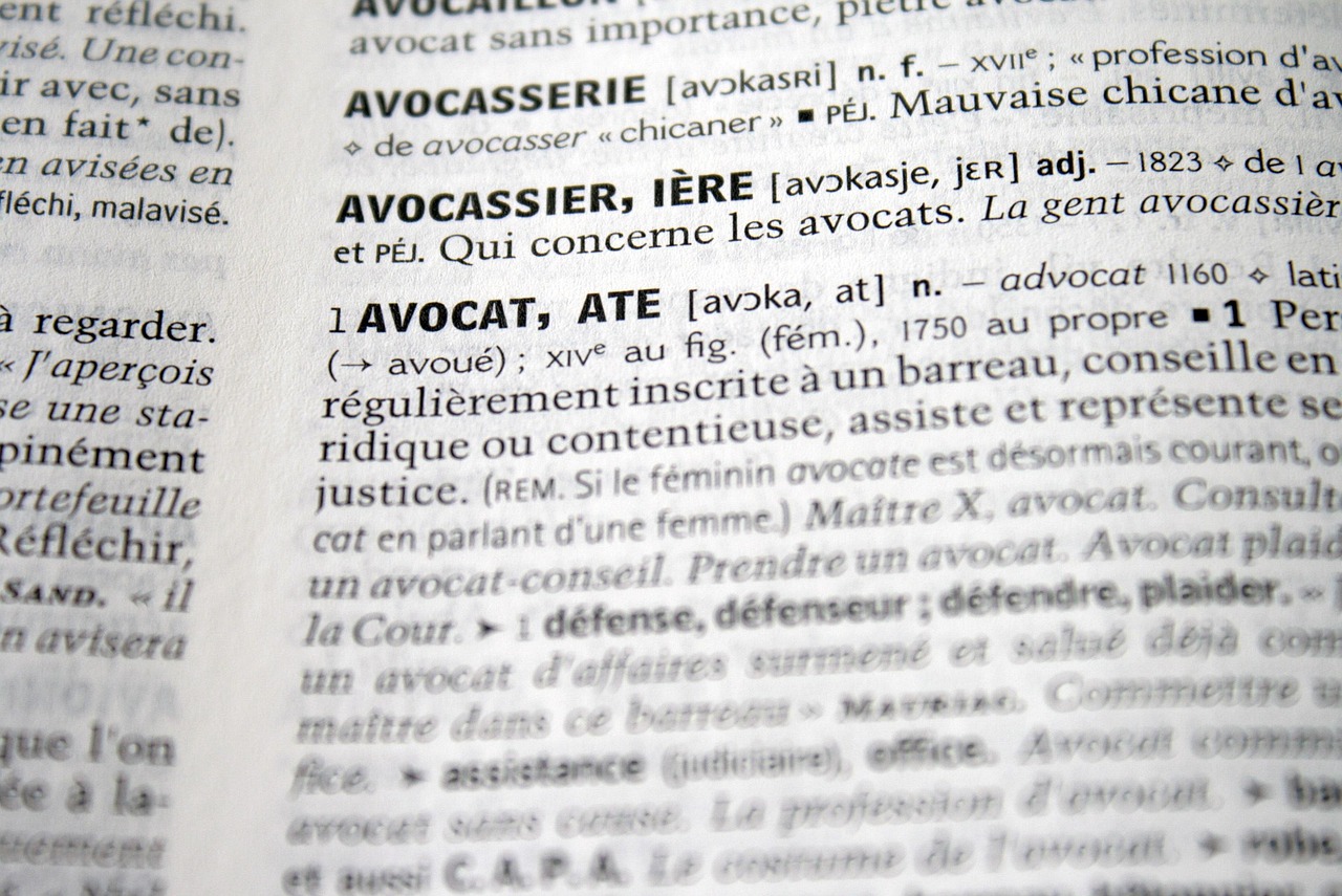 legal aid lawyer community
